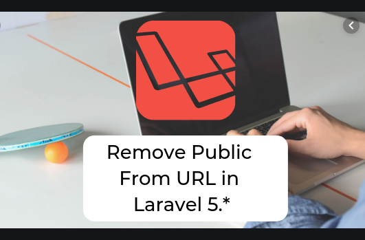 PHP Laravel Get Public path Example