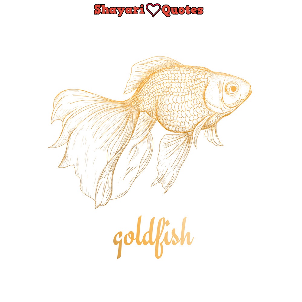 Goldfish Ka Scientific Name