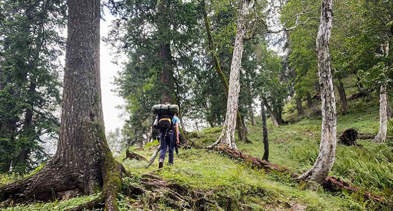 Natural Himalayan Wonder