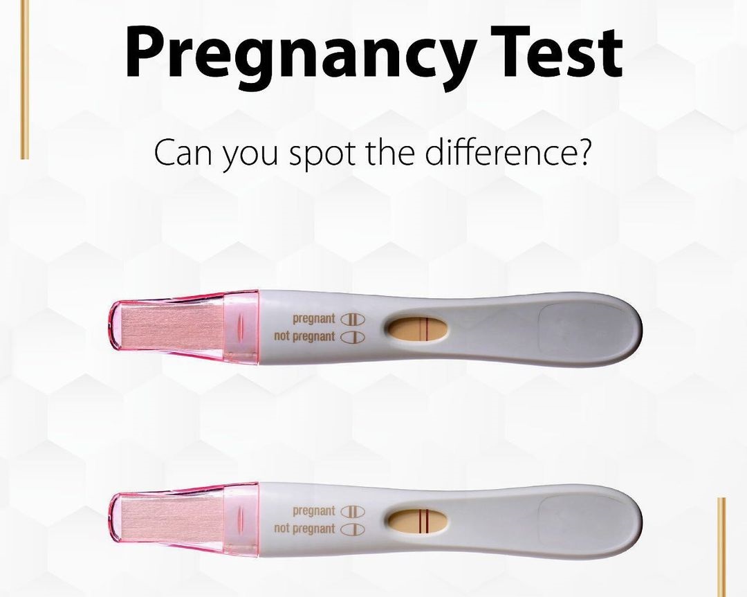How to check pregnancy with prega news kit ?