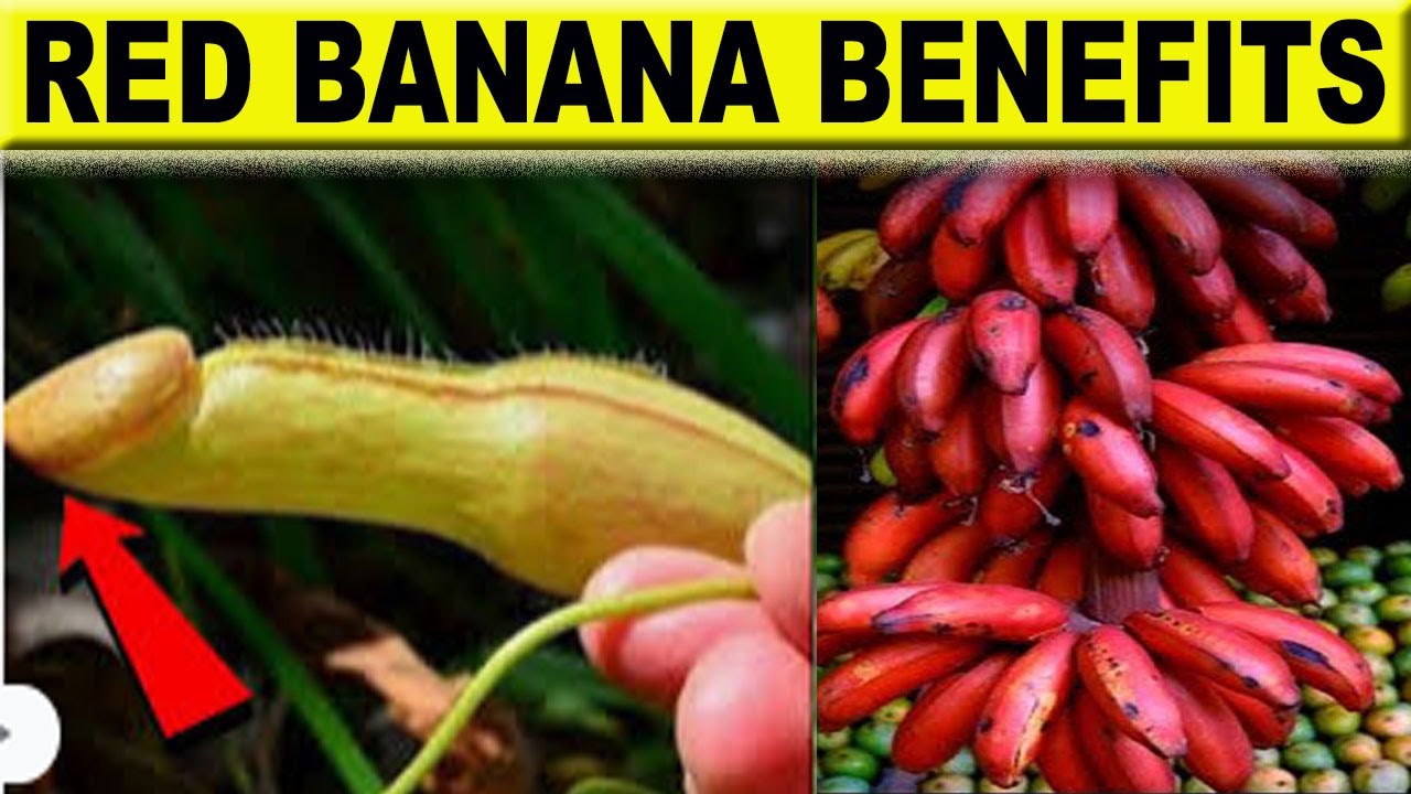 red banana