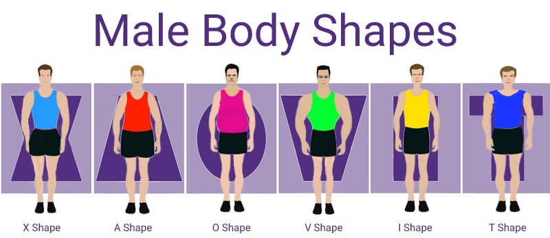 x body shape